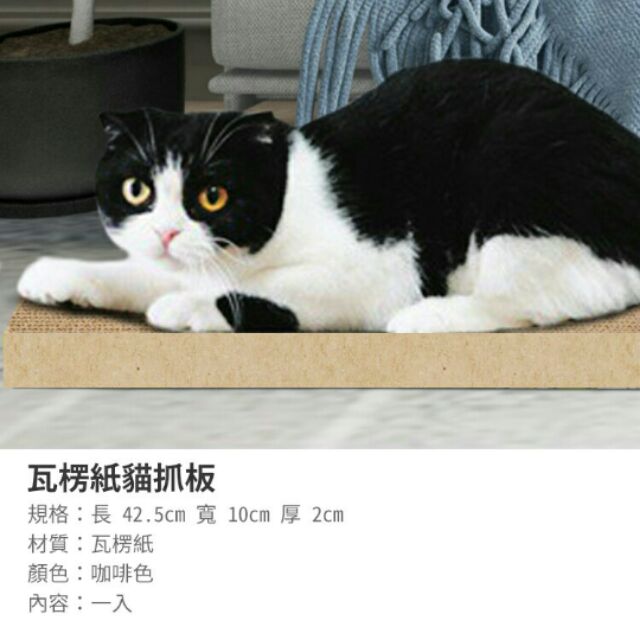 全新瓦楞紙貓爪板45 5 10 2 蝦皮購物