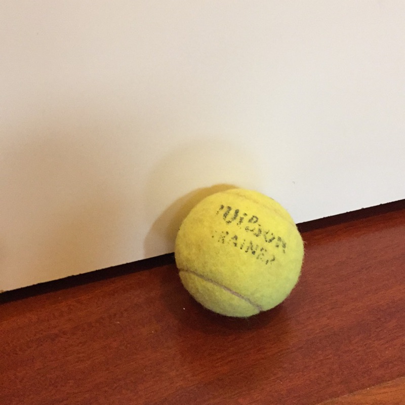 Wilson 網球 一顆