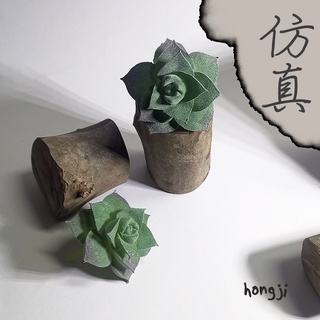 多肉 模擬多肉 微景觀 P65 假多肉植物 辦公室小物 療癒紓壓生日禮物拍照道具居家裝飾咖啡屋商店擺飾迷你木頭底座盆栽