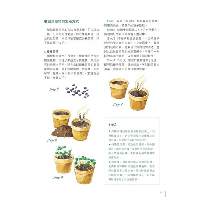 觀葉植物圖鑑 500種風格綠植栽培指南 蝦皮購物