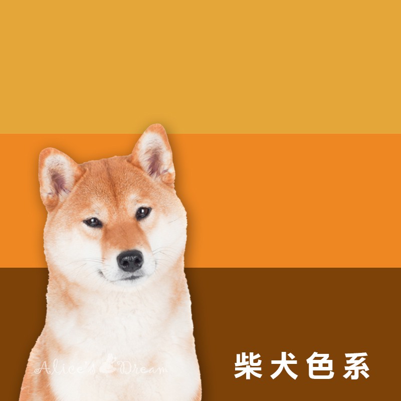 柴犬色系羊毛氈羊毛美麗諾長纖 蝦皮購物