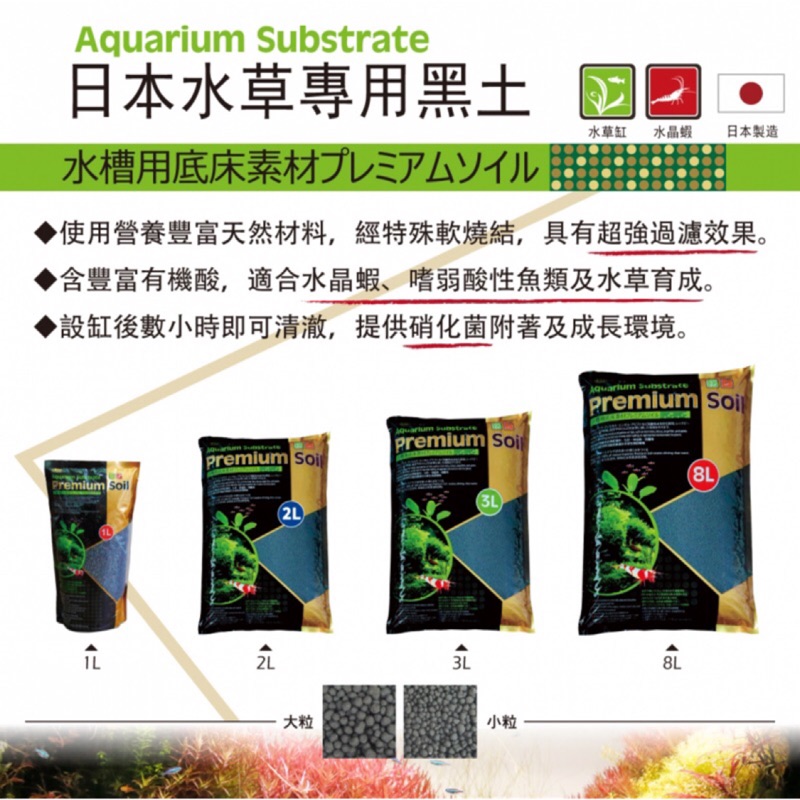 黑土推薦ptt Cloudtree
