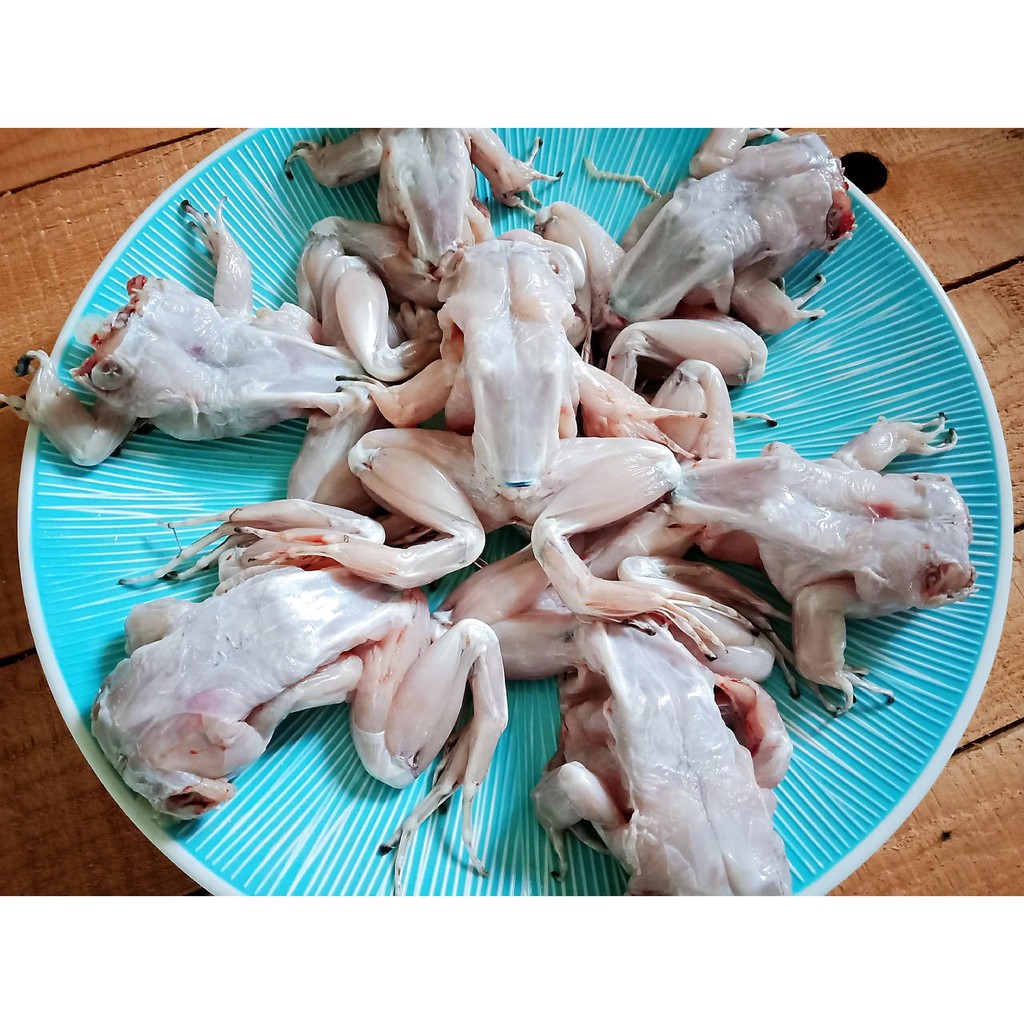 牛蛙田雞青蛙 1斤4 6隻 蝦皮購物