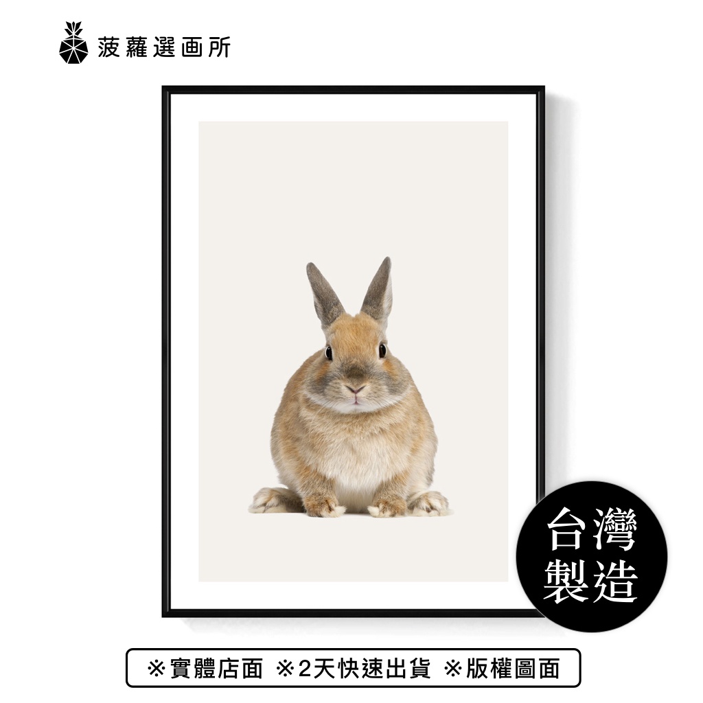 兔寶寶(正面) - 可愛萌感兔子掛畫/兒童房裝飾/邊櫃擺設/療癒掛畫/菠蘿選畫所