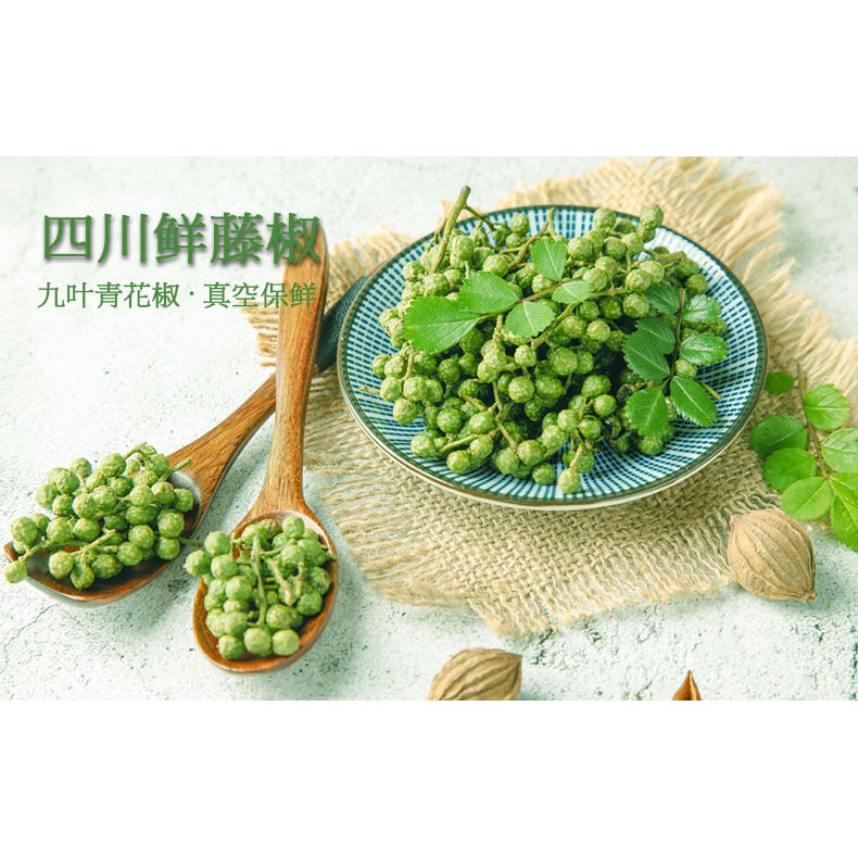 四川特產現摘鮮花椒鮮藤椒新鮮青花椒年新貨商用家用 蝦皮購物