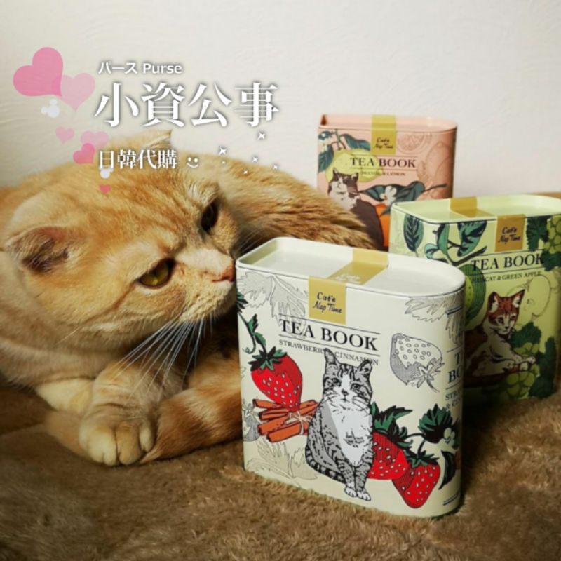 小資公事日韓代購👛日本Afternoon Tea聯名Cat's Nap time 貓咪茶包書型收納鐵盒 Tea Book