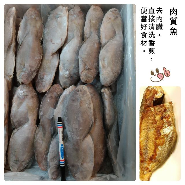 🌈肉魚 4尾 約850g+-50g 肉質魚 去內臟