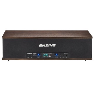 (新北新莊 名展音響) ENSING ESY-500SB 藍芽/MP3/FM 頂級卡拉OK音響