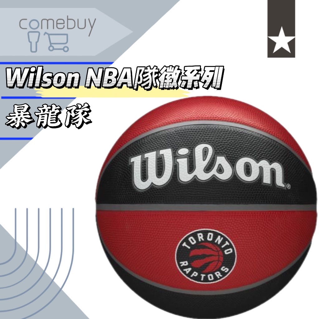 Wilson NBA 隊徽系列 暴龍隊 7號籃球