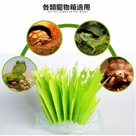 NOMO-植物造型綠色加濕/加濕器/保濕/兩棲/爬蟲/陸龜/守宮/蜥蜴/角蛙/蛇