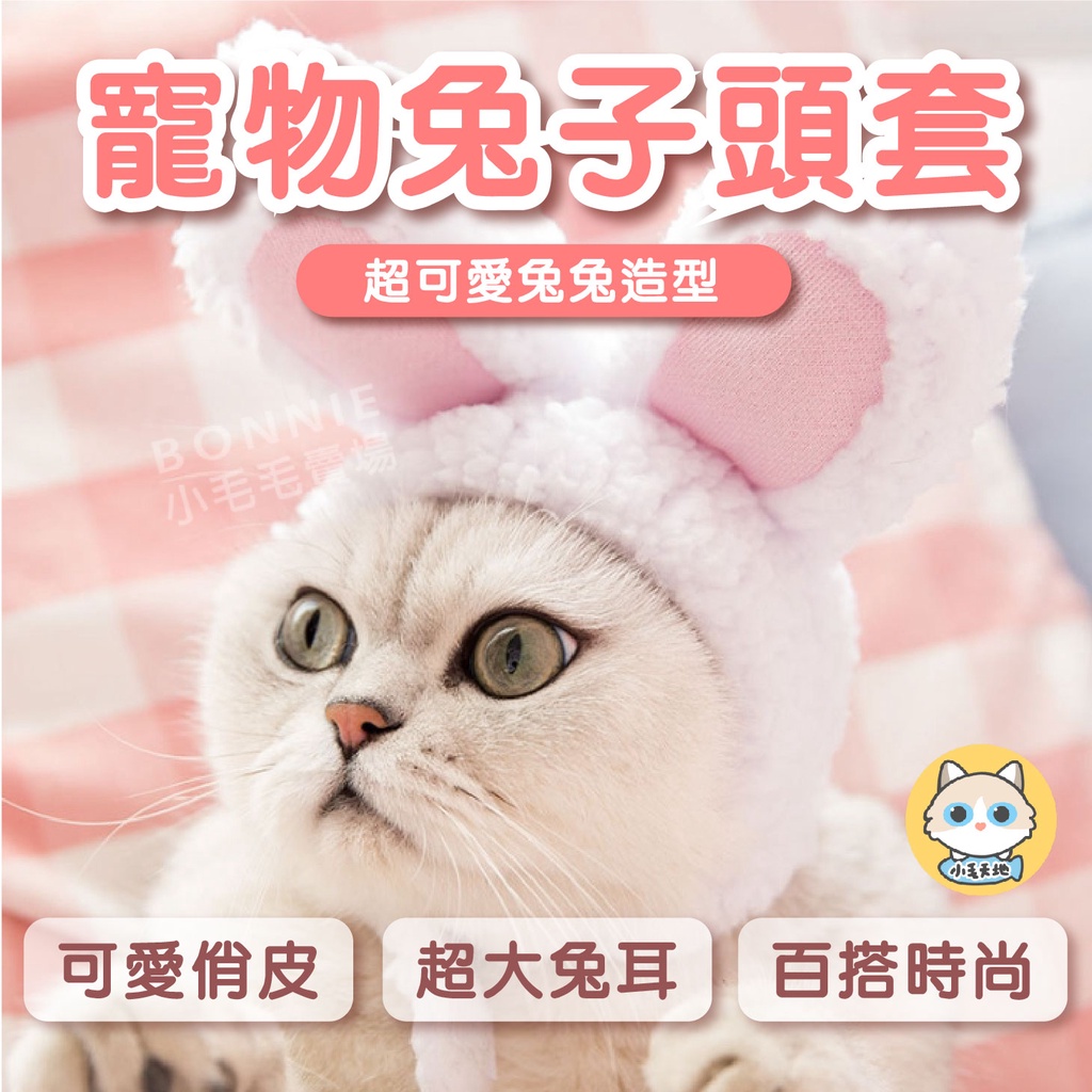【台灣現貨】寵物頭套 兔子耳朵 寵物帽子 兔子頭套 寵物帽