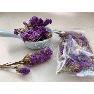 千日菊 優惠推薦 21年7月 蝦皮購物台灣