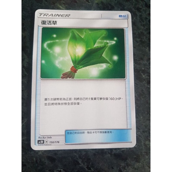 《Kevin 愷文》PTCG 復活草