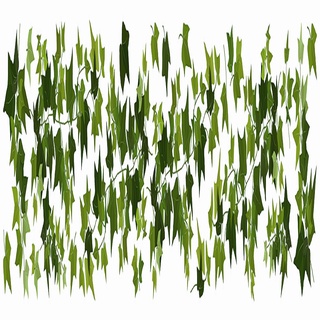 義大利進口HOME DÉCOR 滾邊壁貼 30cmX200cm 常春藤(C53013)