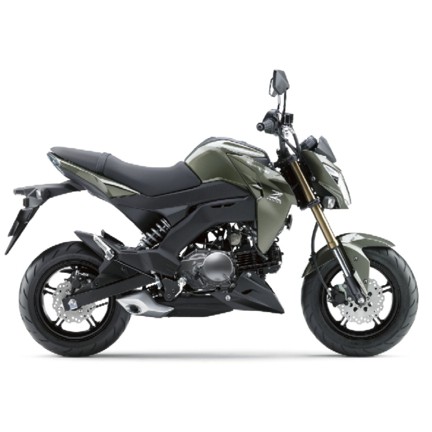 《晟大重機》KAWASAKI 原廠 Z125 車殼  深灰色