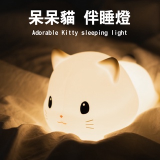 呆呆喵 矽膠燈 小夜燈 宿舍臥室USB充電 伴睡 餵奶 LED呆呆貓 玩具小夜燈 擺飾 床邊露營燈 氛圍燈 禮物