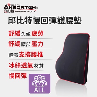 【小鳥的店】邱位元【TA-A079】慢回彈 護腰墊 RAV4 CROSS TOWN ACE SIENTA N7 配件改裝