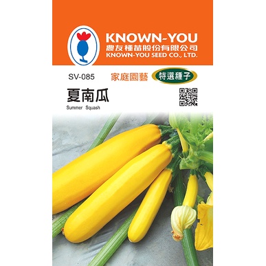 《農友種苗》特選蔬果種子 SV-085夏南瓜-阿珍