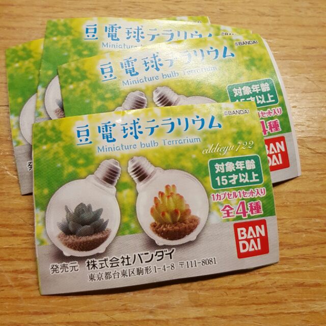 扭蛋轉蛋 全新未拆豆電球燈泡電火球 多肉植物盆栽 扭蛋四入 蝦皮購物