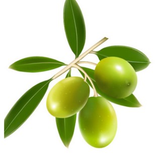 330 PURE 橄欖油 橄欖油 手工皂 油脂 SPA 等級 另售 DIY配方