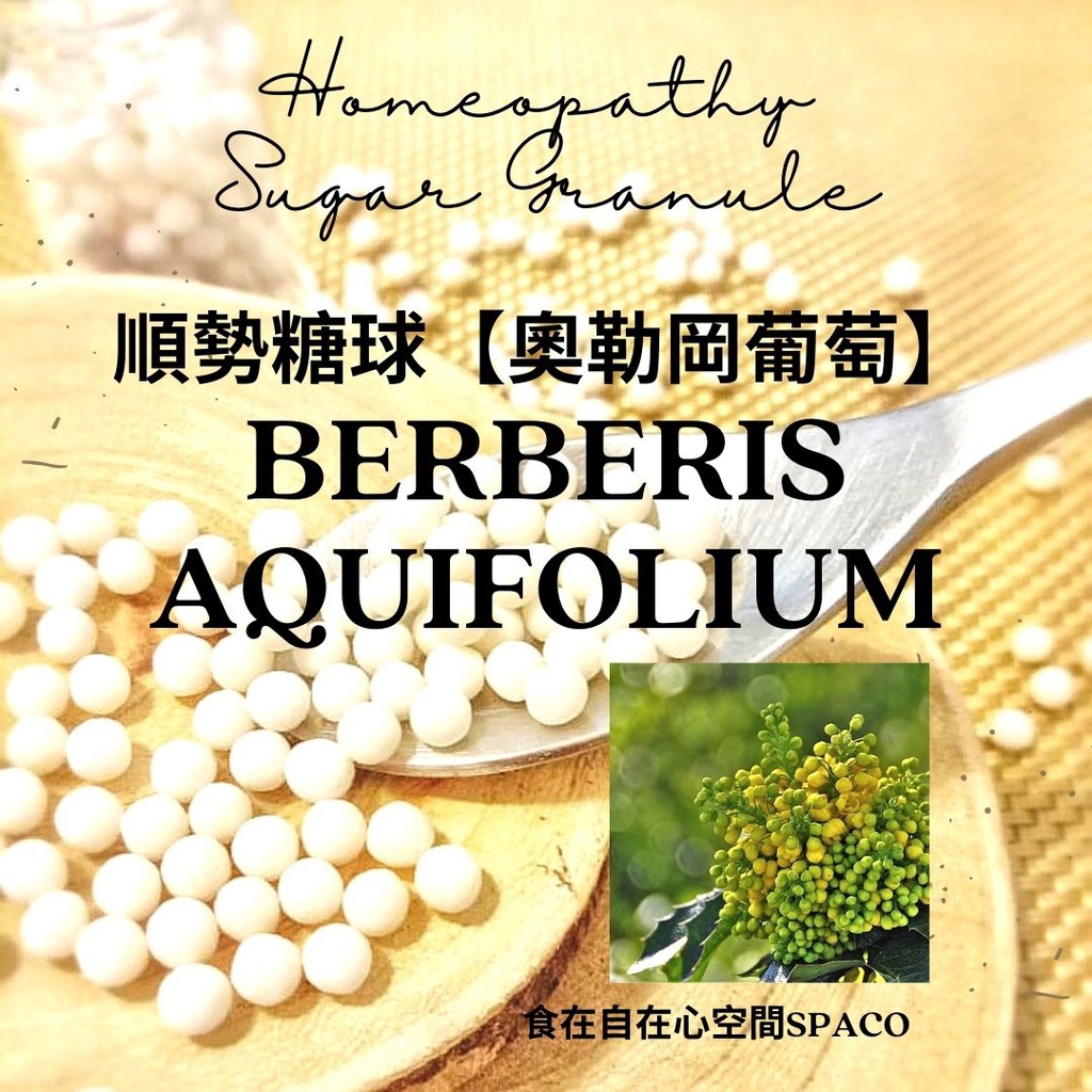 順勢糖球【奧勒岡葡萄●Berberis Aquifolium】Homeopathy（➕動力、美麗、彩色人生）
