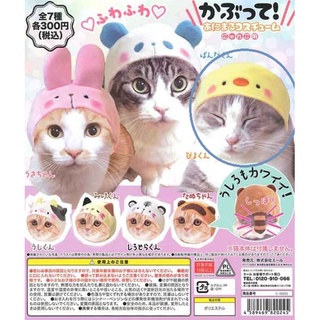貓咪專屬頭巾 動物造型篇 貓咪頭套 轉蛋系列