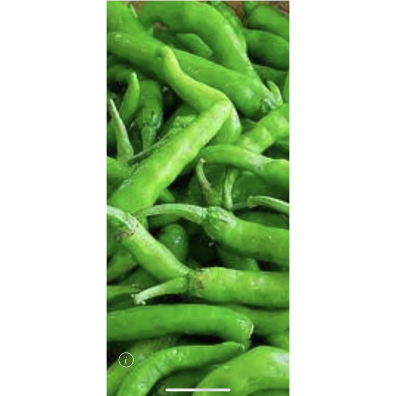 不辣小甜椒，就是外表長得像綠色5斤650元