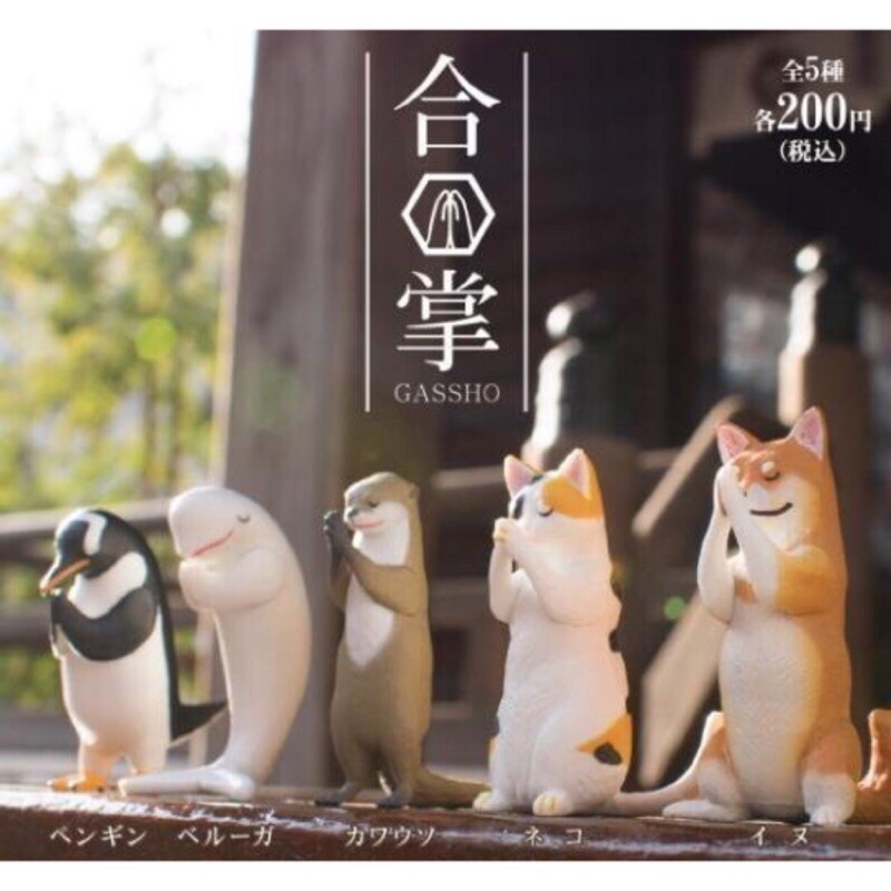 合掌動物合掌貓扭蛋 蝦皮購物