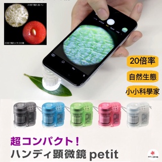 【現貨·快速出貨】🇯🇵正版日本藤井迷你顯微鏡攜帶型Raymay petit20倍RXT15兒童顯微鏡科學家益智遊戲探索