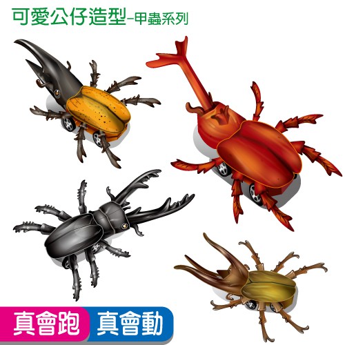 Oo屋 獨角仙長戟鍬形蟲南洋大兜蟲 益智diy 禮贈品手做玩具甲蟲 蝦皮購物