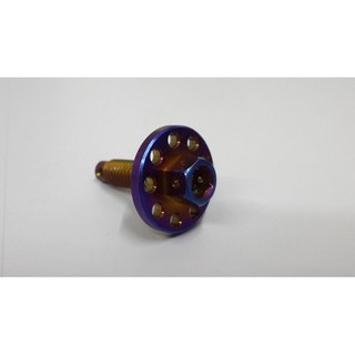 燒鈦螺絲 鍍鈦螺絲 車牌螺絲 大頭螺絲 造型白鐵螺絲 不鏽鋼 M6 17mm 白鐵螺絲 不鏽鋼螺絲 M6螺絲 86部品