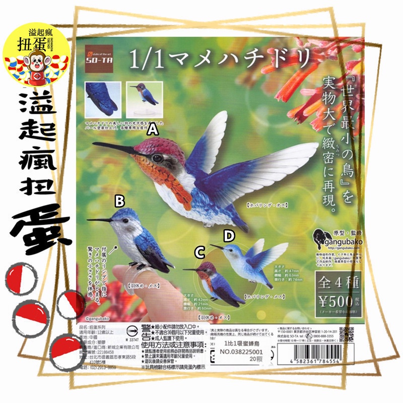 ♧溢起瘋扭蛋♧ SO-TA 轉蛋 扭蛋 1比1吸蜜蜂鳥 蜂鳥 擬真 小鳥 鳥類 公仔 擺設 高雄 鹽埕