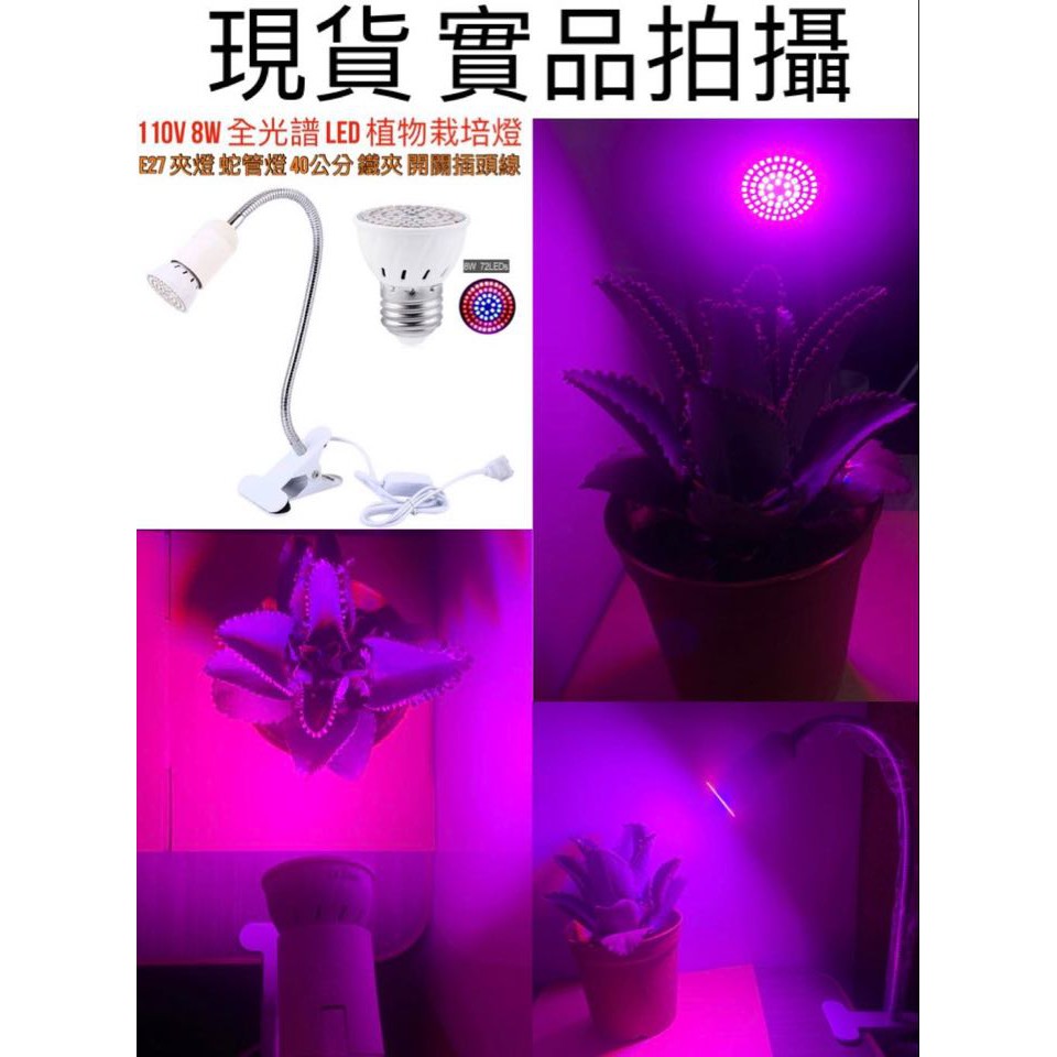 【金光閃閃】含稅價 現貨 110V 8W 全光譜 LED 植物燈 E27 夾燈 植物生長燈 栽培燈 多肉植物 育苗 花卉