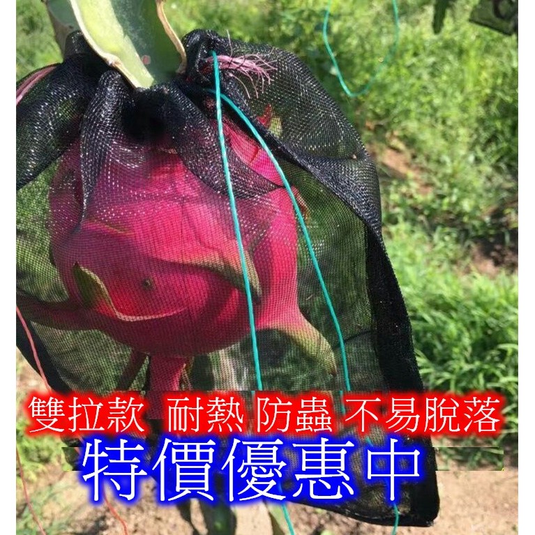 💕現貨💕 黑色尼龍網袋 防鳥 防蟲 網袋 水果套袋 火龍果 葡萄 水蜜桃 套袋 通風 耐熱 可重複使用 雙拉 收納袋