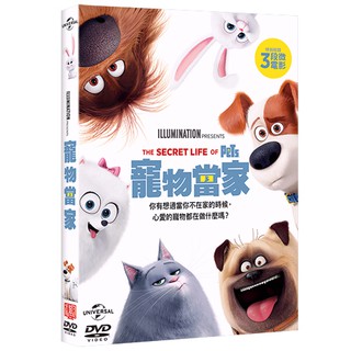 寵物當家 The Secret Life of Pets (DVD)