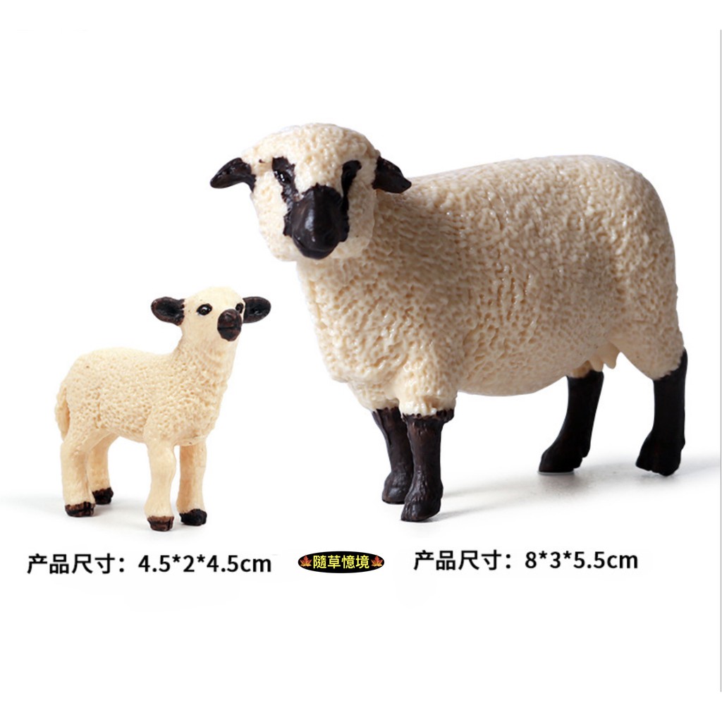現貨2款 仿真什羅普君羊綿羊羊親子綿羊動物模型野生動物兒童玩具益智公仔spg 蝦皮購物