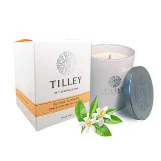 Tilley(百年特莉)-橙花香氛大豆蠟燭240g