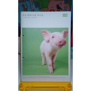 La Dolce Vita 甜蜜生活 筆記本 手帳 記帳本 日記本 記事本 萬用手冊 時間管理手冊 萬用記事本 手帳本