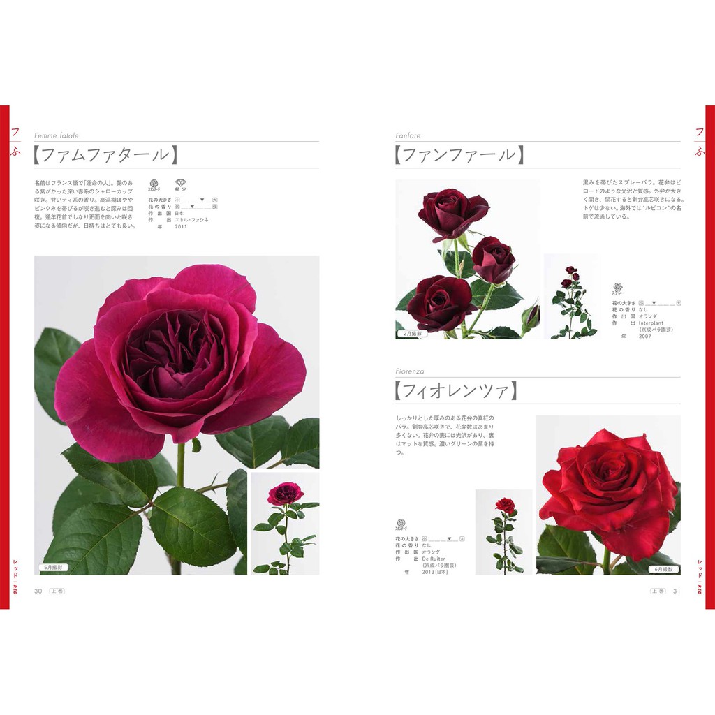 現貨 玫瑰薔薇圖鑑1 上卷526品種 日本花藝插花進口圖書日版 蝦皮購物