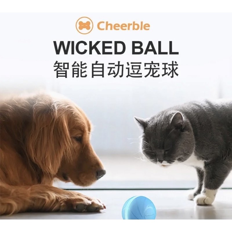 wicked ball寵物智能球