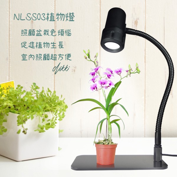 植物桌燈 優惠推薦 22年3月 蝦皮購物台灣