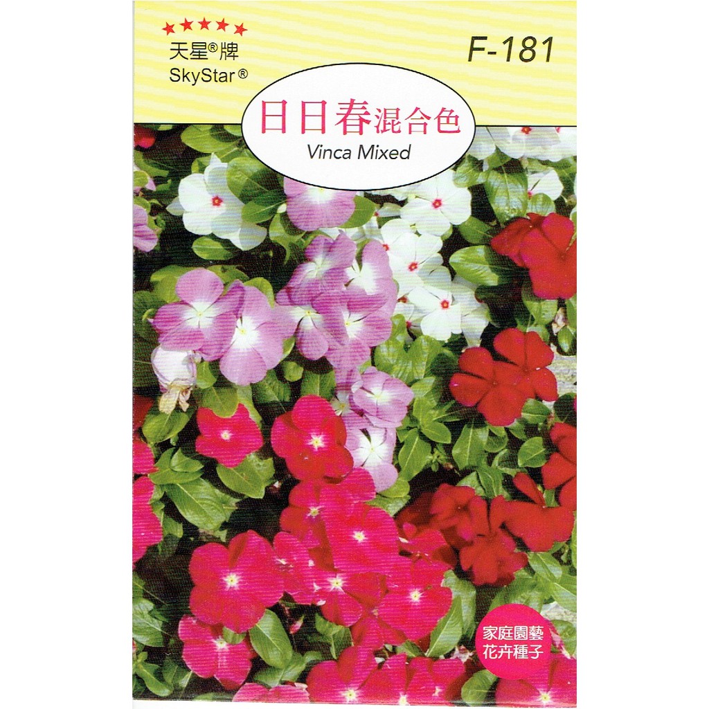 日日春種子 拍賣 評價與ptt熱推商品 21年4月 飛比價格