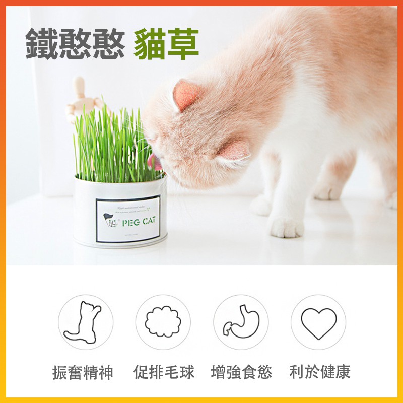 種植貓草 拍賣 評價與ptt熱推商品 21年4月 飛比價格