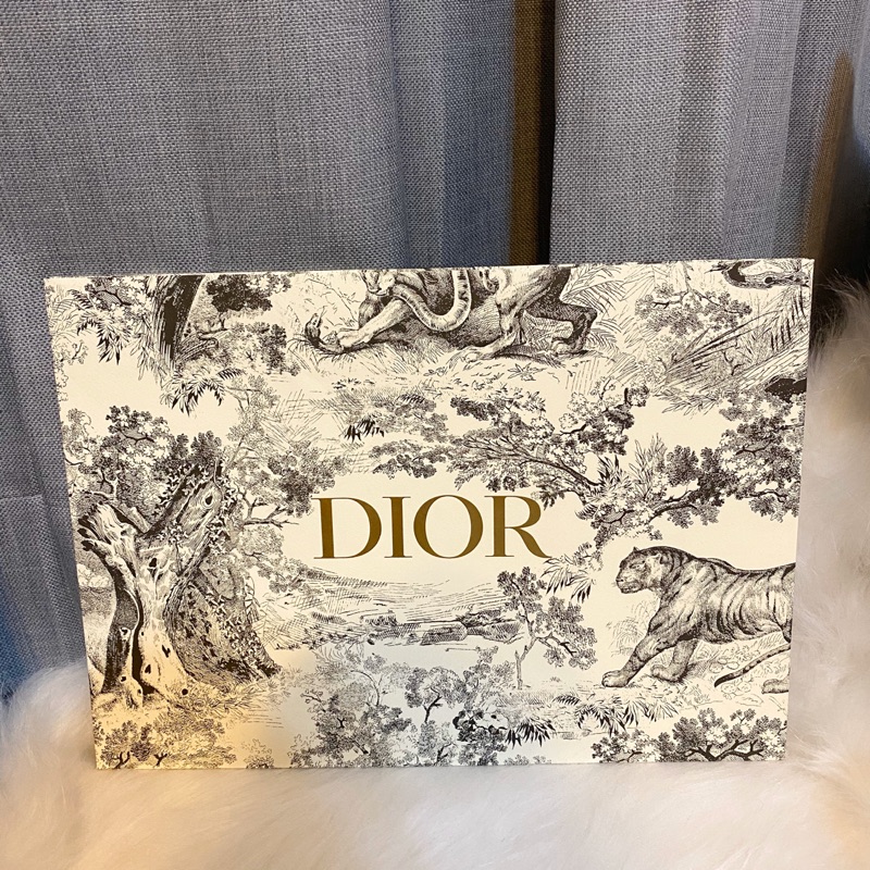 一部予約販売】 Diorの紙袋 tdh-latinoamerica.de