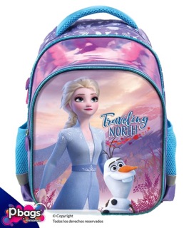 冰雪奇緣 女童 書包 後背包 幼稚園 背包 正品 安娜 愛莎 立體 迪士尼 歐洲品牌 Disney迪士尼書包 兒童書包