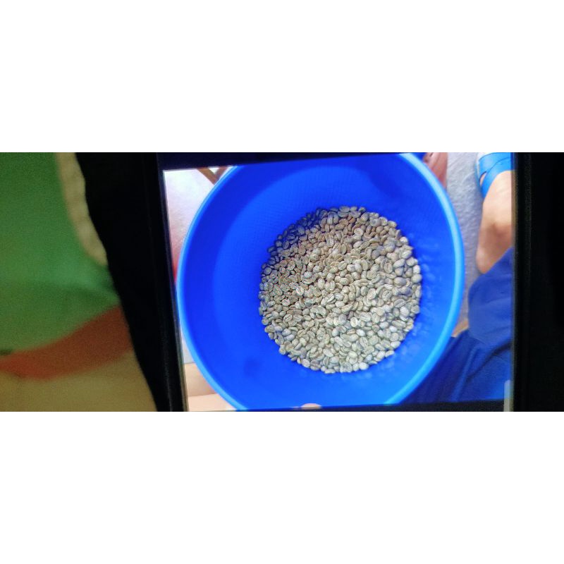 埔里咖啡生豆，一公斤800