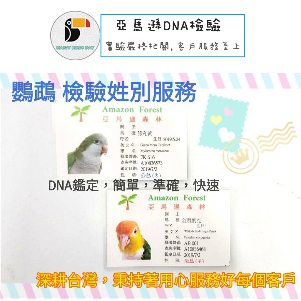 鸚鵡性別 檢驗袋-鳥寶寶Q版身分證 DNA性別檢驗袋/各式鳥類性別鑑定(量大檢驗者,再另外聊聊洽詢)