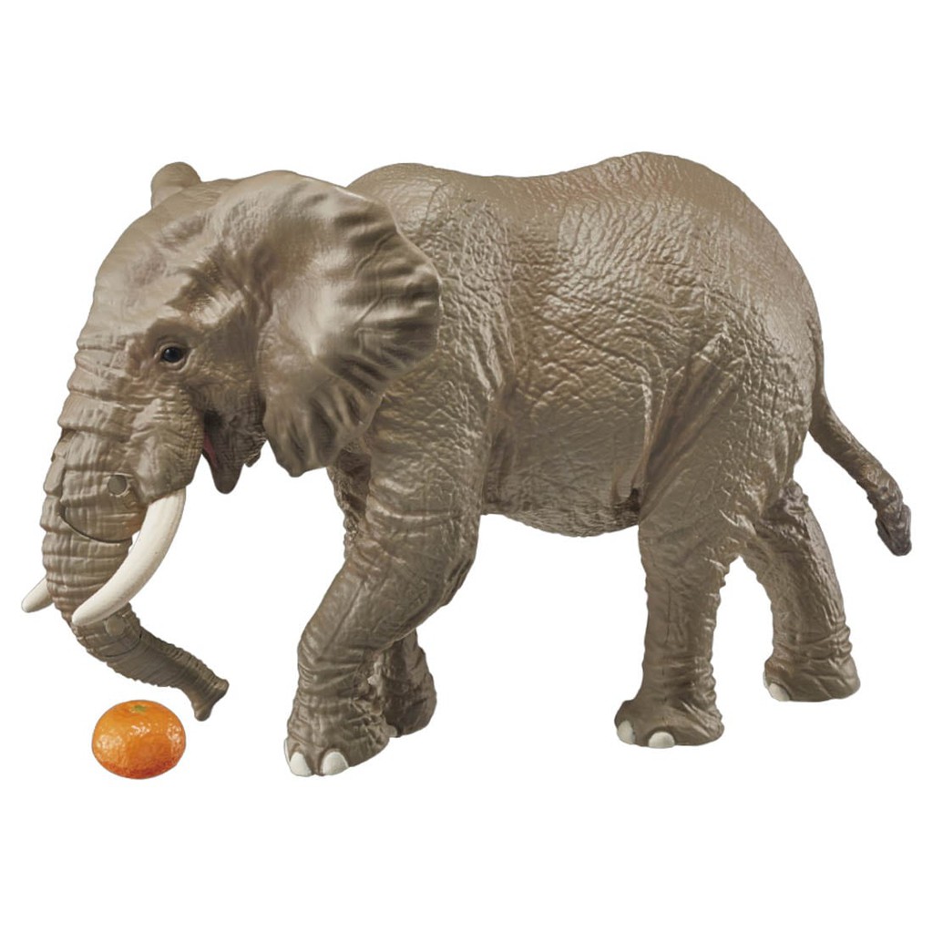 TOMY  多美動物園 ANIA 探索動物系列  AS-02 非洲象(附橘子)  動物模型  AN16056