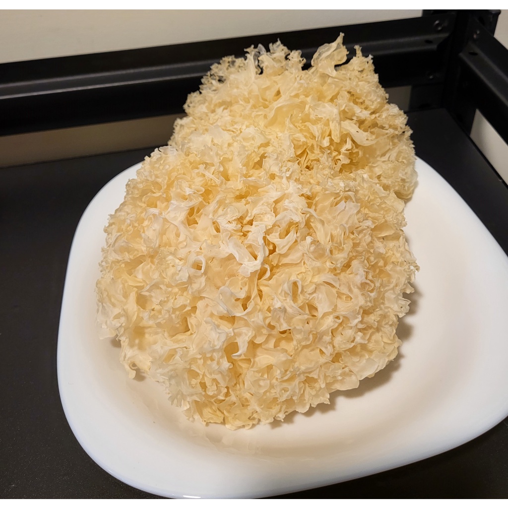 『老古意 Old Good Eat』 白木耳 銀耳 無磺(二氧化硫) 不漂白 100- 300公克