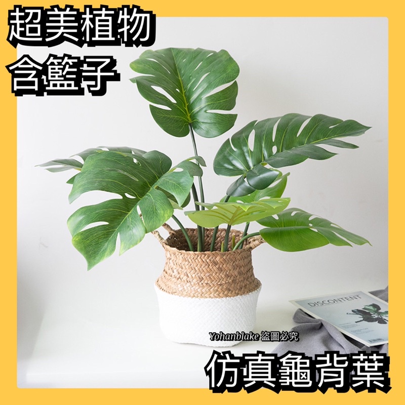 ❤️宅配免運費❤️手工編織籃 龜背葉 大型仿真植物盆栽 龜背2英尺假綠植客廳落地盆景室內擺件裝飾家居